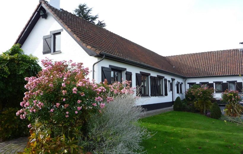 Réalisation - Peinture extérieure